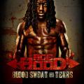 Ace Hood - Blood Sweat and Tears