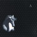 Аквариум - Лошадь Белая